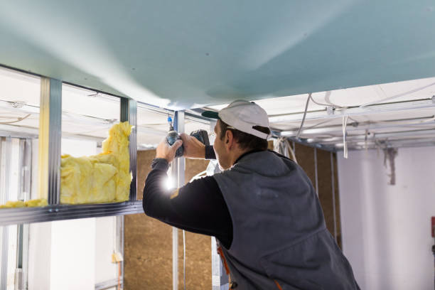 Best Blown-in Insulation in Fairhope, AL