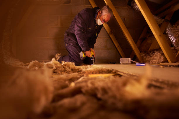 Best Geographic-Specific Insulation Services in Fairhope, AL